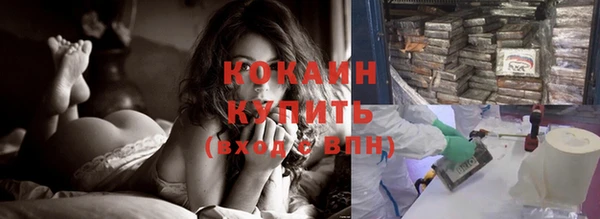 твердый Алексеевка