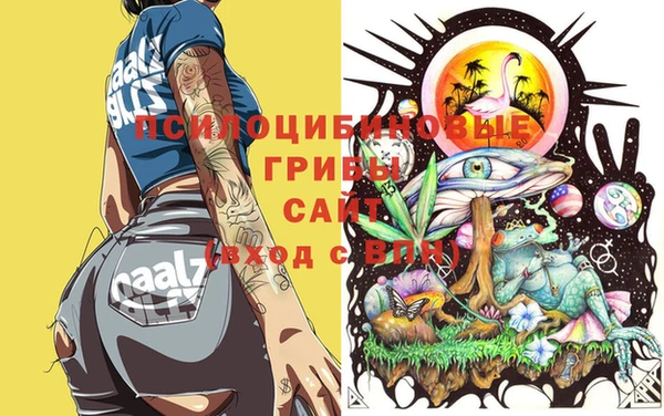 твердый Алексеевка