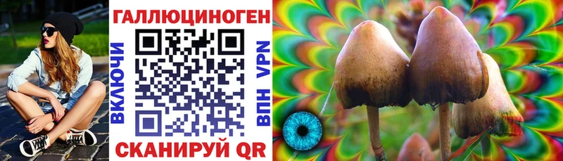 Галлюциногенные грибы GOLDEN TEACHER  Карабаш 